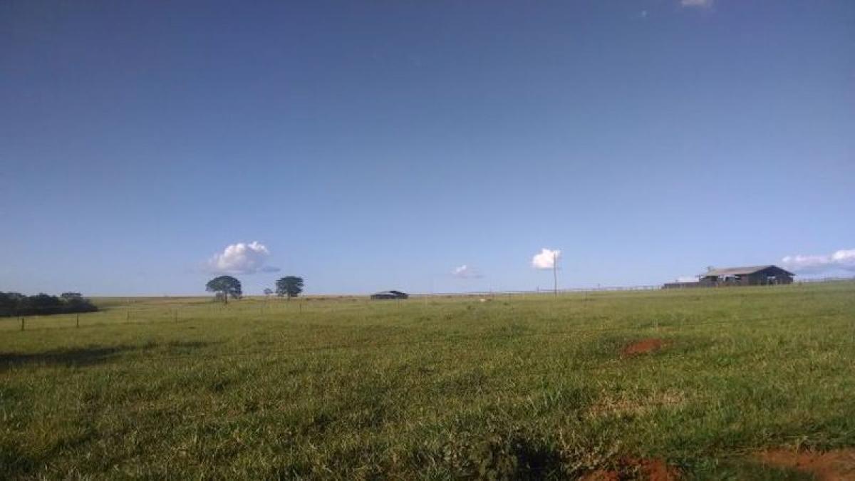 Picture of Farm For Sale in Goias, Goias, Brazil