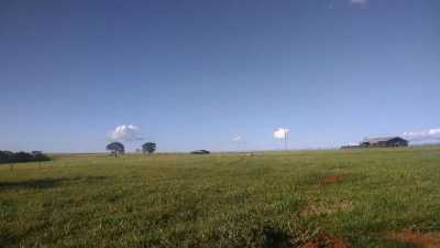 Farm For Sale in Goias, Brazil