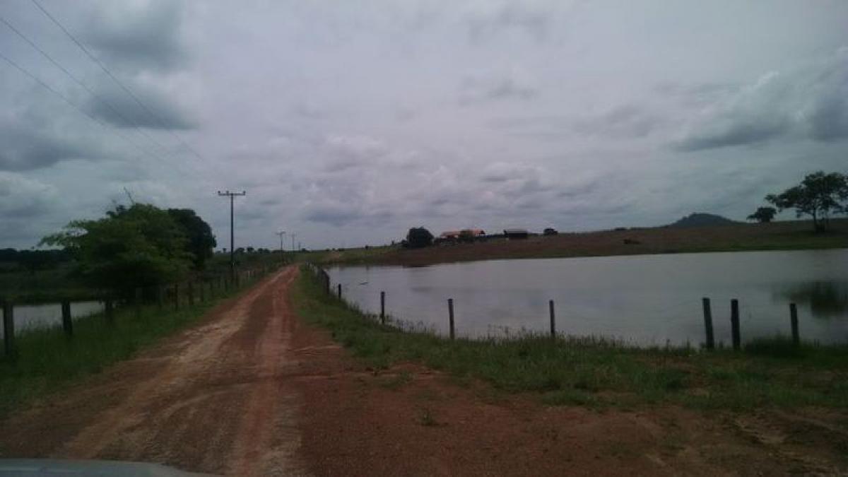 Picture of Farm For Sale in Para, Para, Brazil