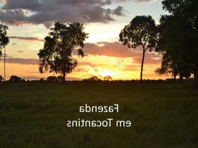 Farm For Sale in Tocantins, Brazil
