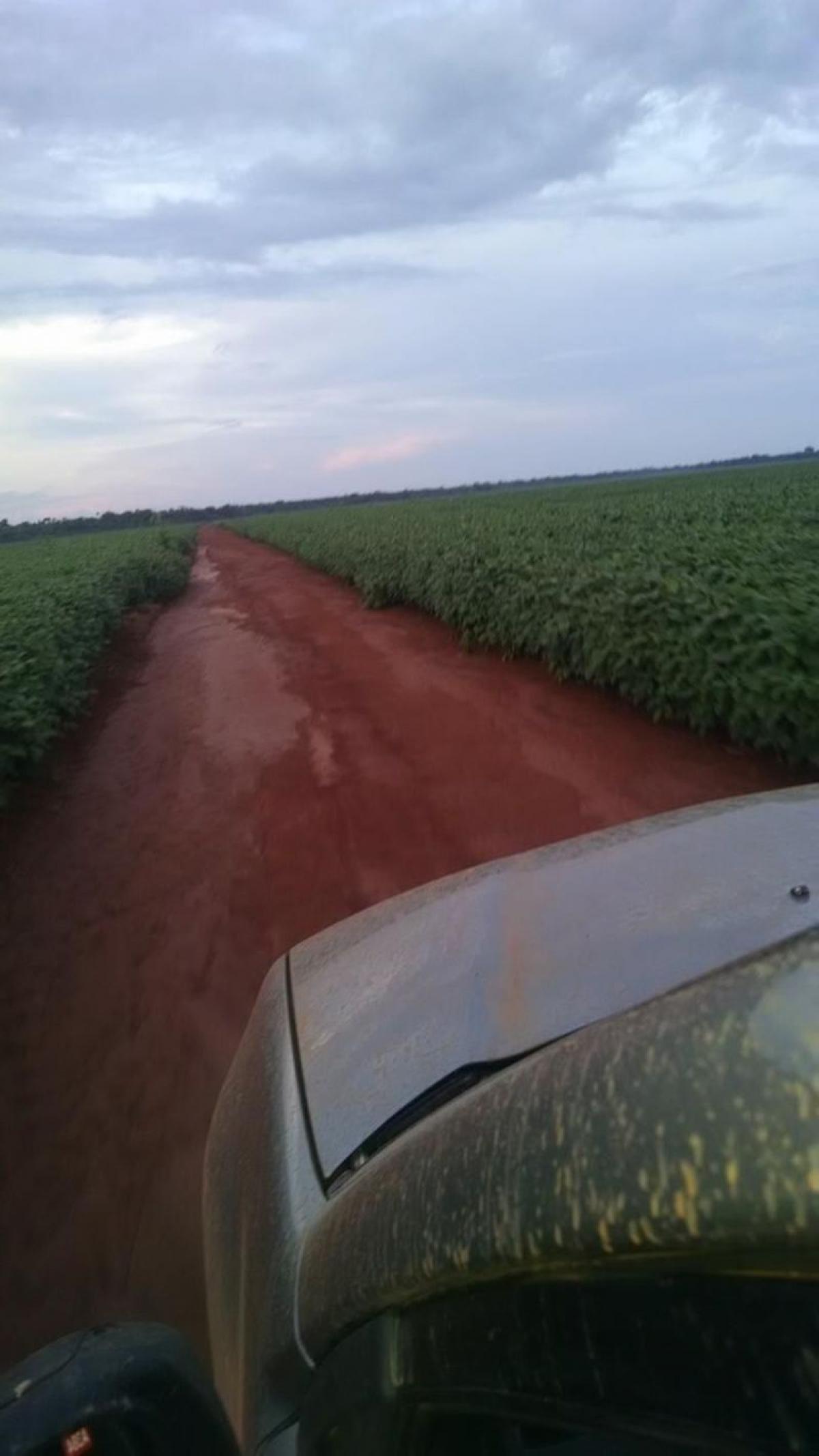 Picture of Farm For Sale in Para, Para, Brazil