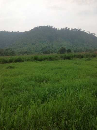 Farm For Sale in Para, Brazil