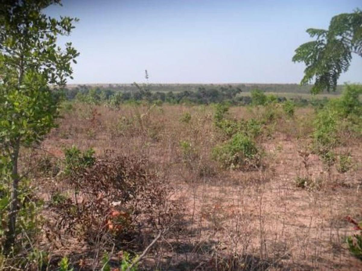 Picture of Farm For Sale in Tocantins, Tocantins, Brazil