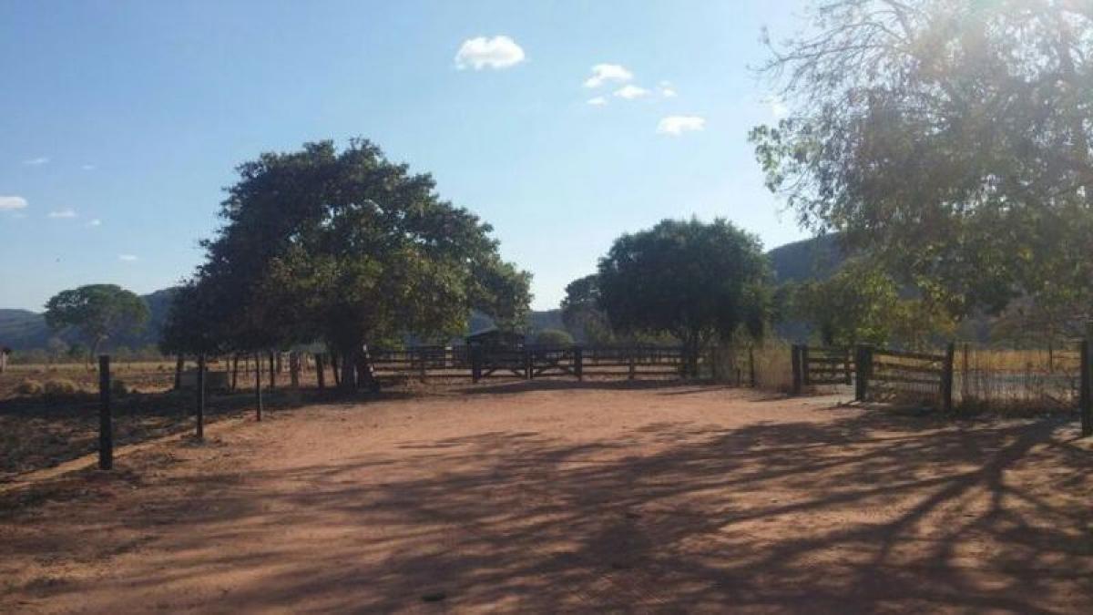 Picture of Farm For Sale in Tocantins, Tocantins, Brazil