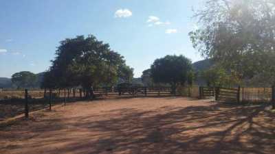 Farm For Sale in Tocantins, Brazil