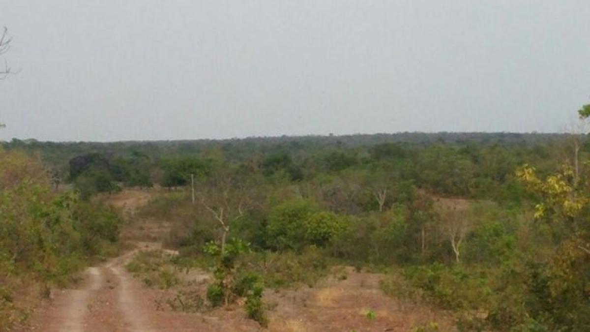 Picture of Farm For Sale in Tocantins, Tocantins, Brazil