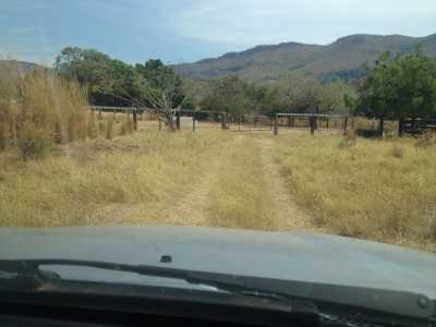 Farm For Sale in Tocantins, Brazil