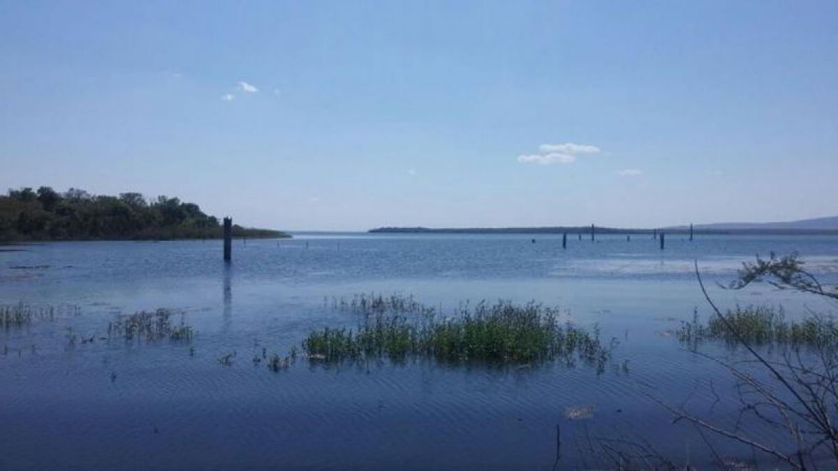 Picture of Farm For Sale in Tocantins, Tocantins, Brazil