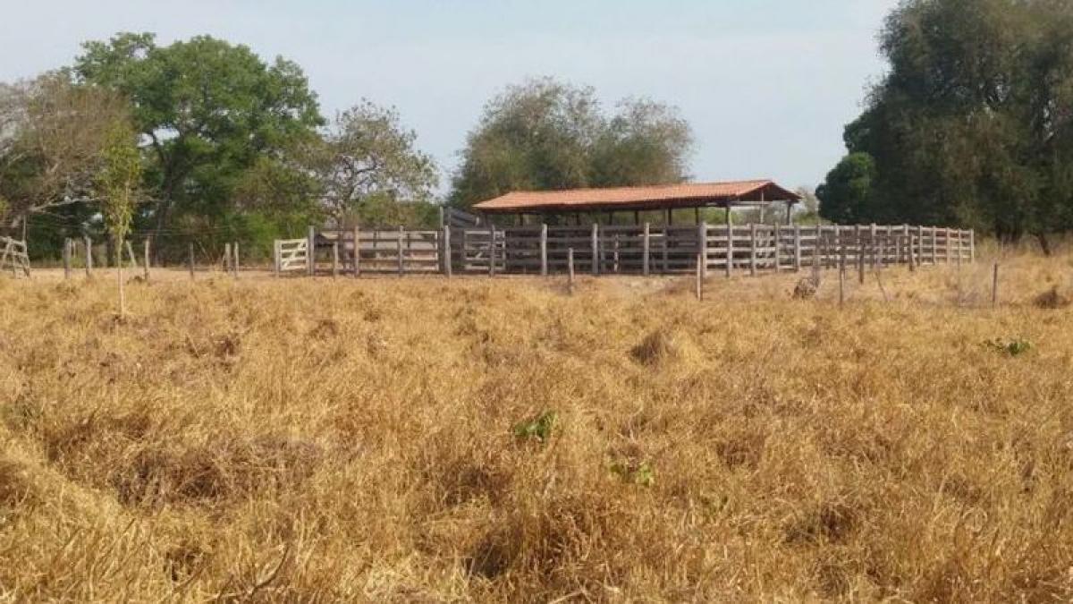 Picture of Farm For Sale in Tocantins, Tocantins, Brazil