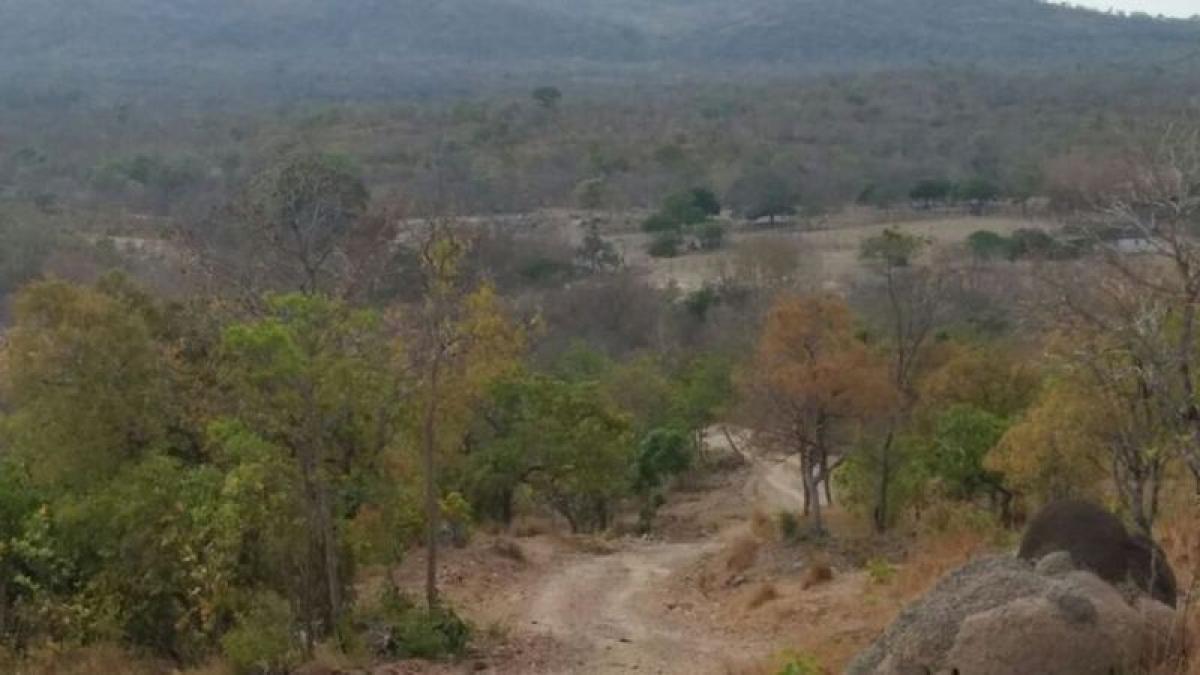 Picture of Farm For Sale in Tocantins, Tocantins, Brazil