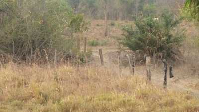 Farm For Sale in Tocantins, Brazil