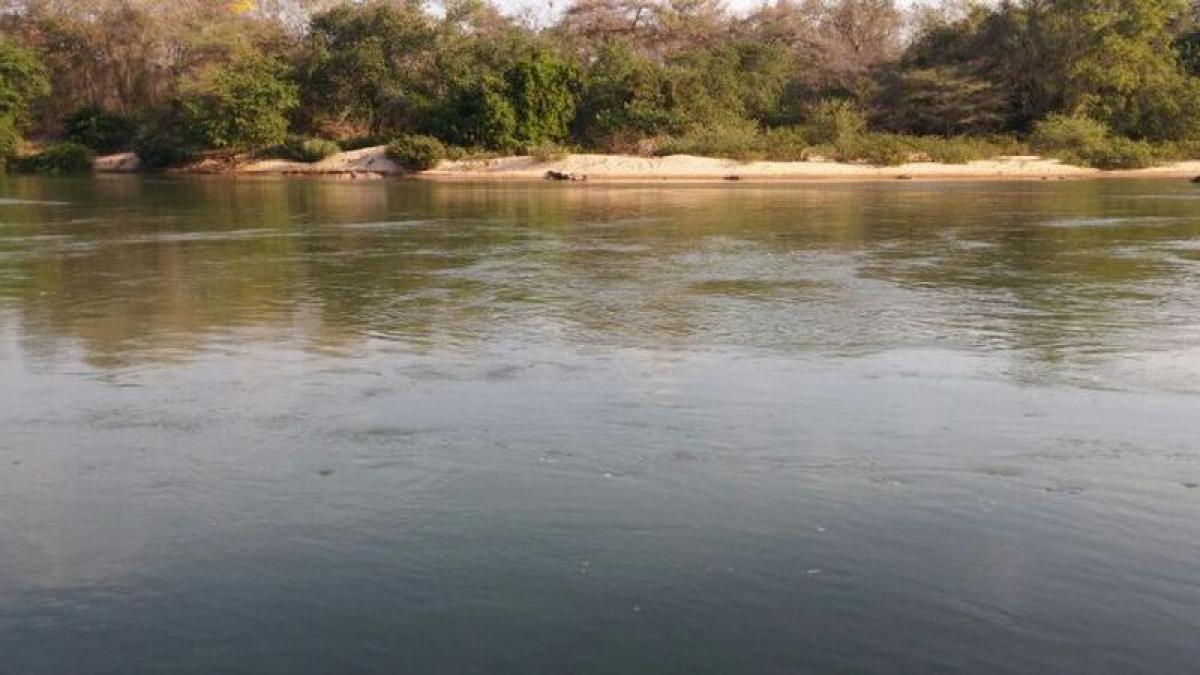 Picture of Farm For Sale in Tocantins, Tocantins, Brazil