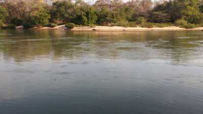 Farm For Sale in Tocantins, Brazil