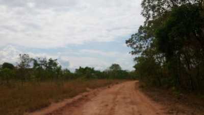 Farm For Sale in Tocantins, Brazil