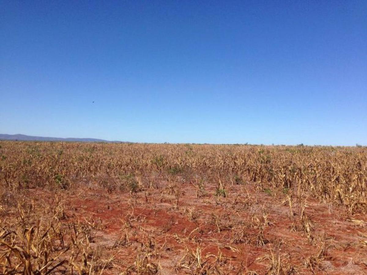 Picture of Farm For Sale in Goias, Goias, Brazil