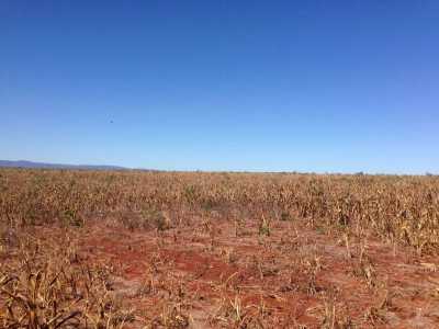 Farm For Sale in Goias, Brazil