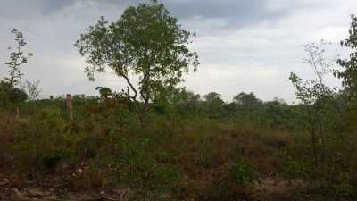 Farm For Sale in Tocantins, Brazil