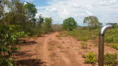 Farm For Sale in Tocantins, Brazil