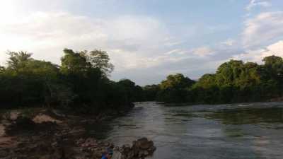 Farm For Sale in Tocantins, Brazil