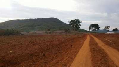 Farm For Sale in Tocantins, Brazil