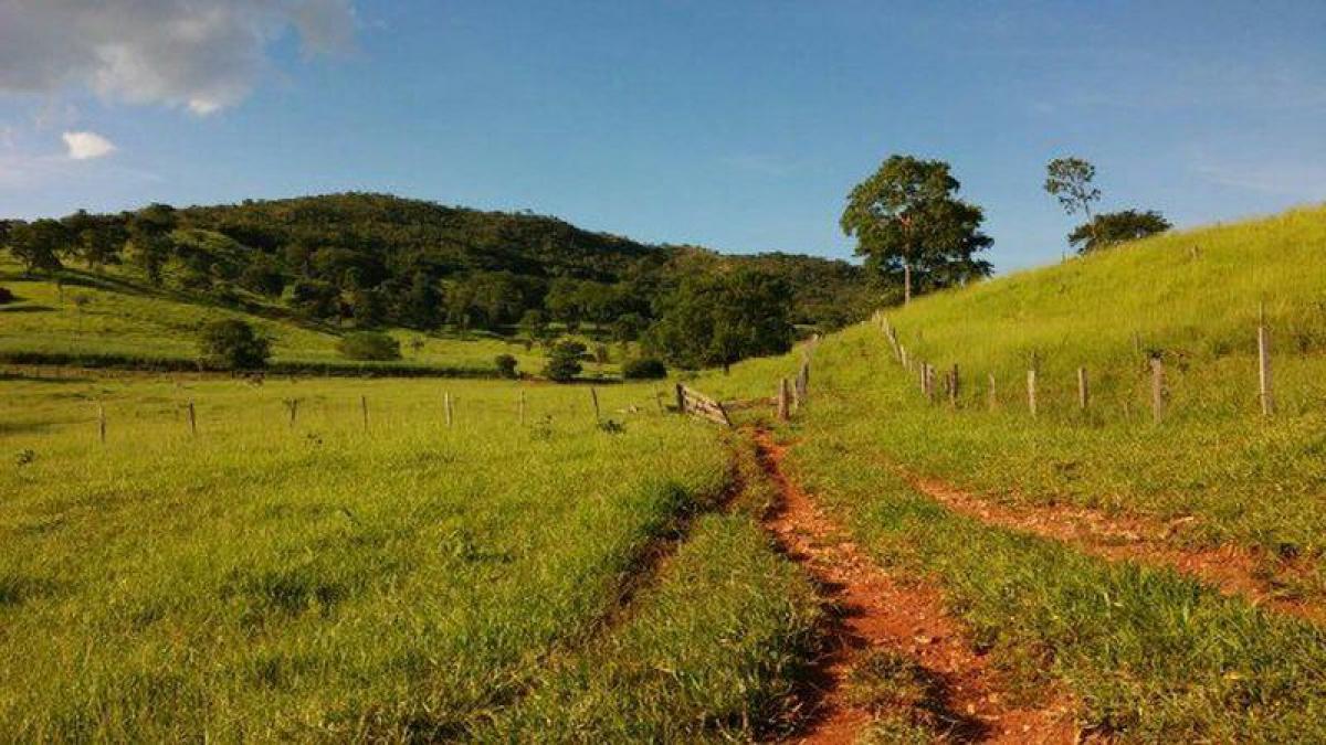 Picture of Farm For Sale in Goias, Goias, Brazil