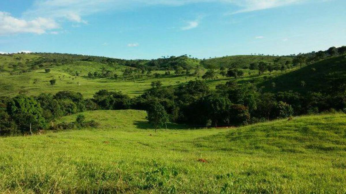 Picture of Farm For Sale in Goias, Goias, Brazil