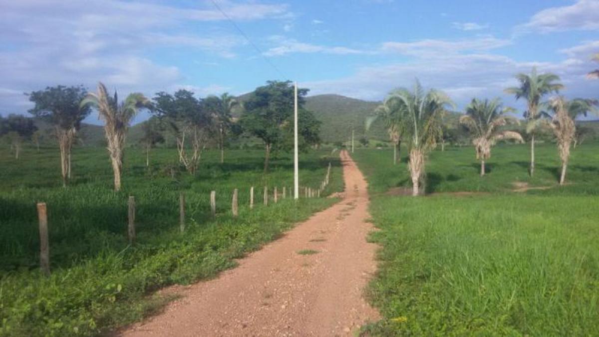 Picture of Farm For Sale in Tocantins, Tocantins, Brazil