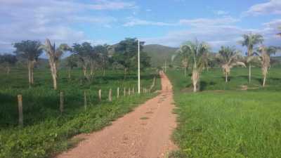 Farm For Sale in Tocantins, Brazil