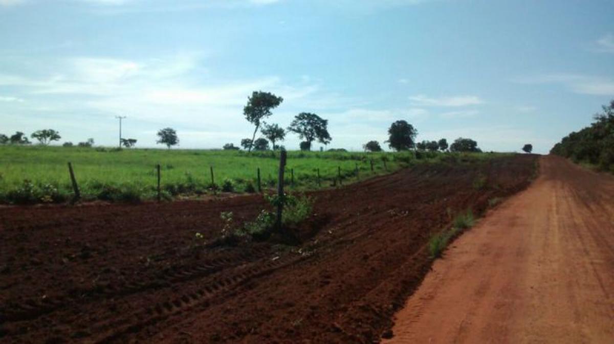 Picture of Farm For Sale in Tocantins, Tocantins, Brazil