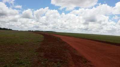 Farm For Sale in Goias, Brazil