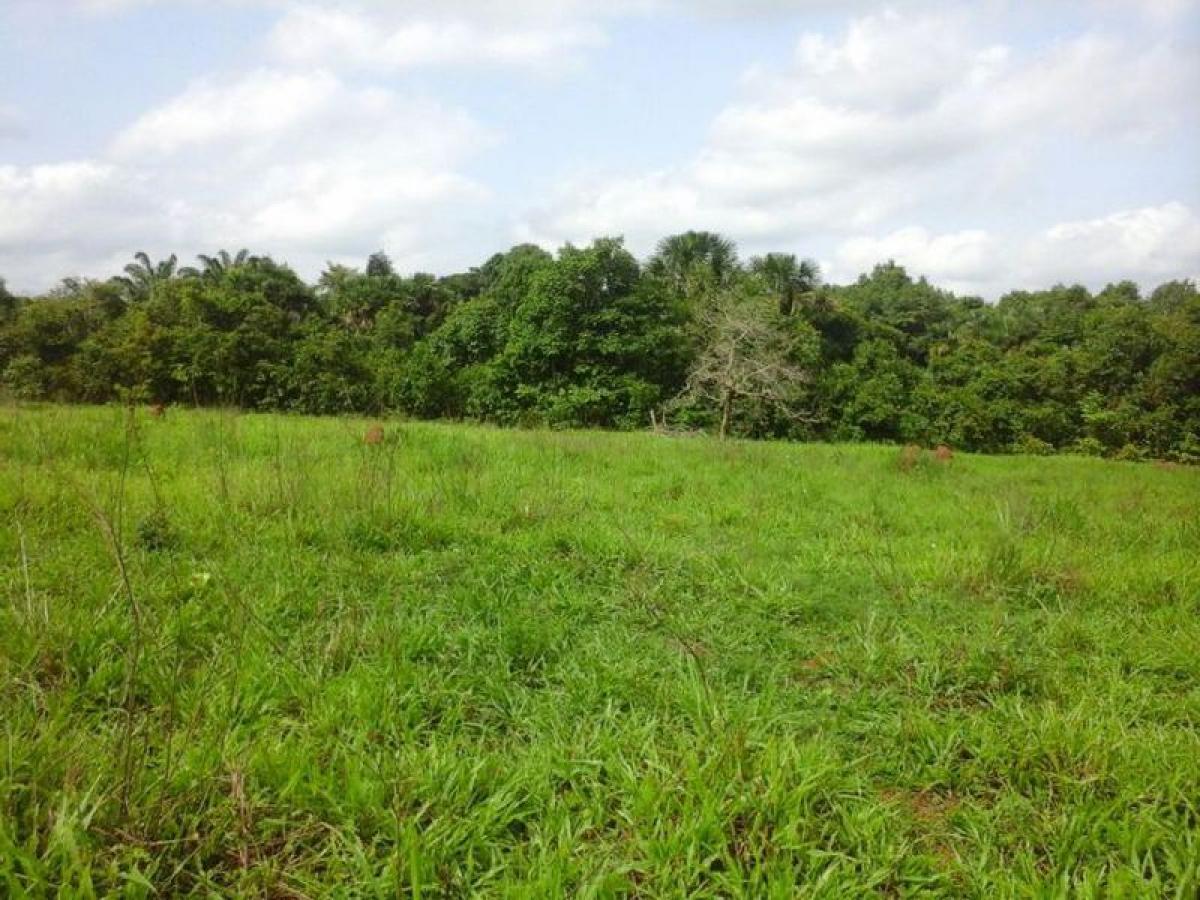 Picture of Farm For Sale in Tocantins, Tocantins, Brazil