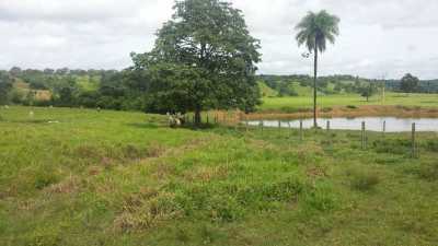 Farm For Sale in Tocantins, Brazil
