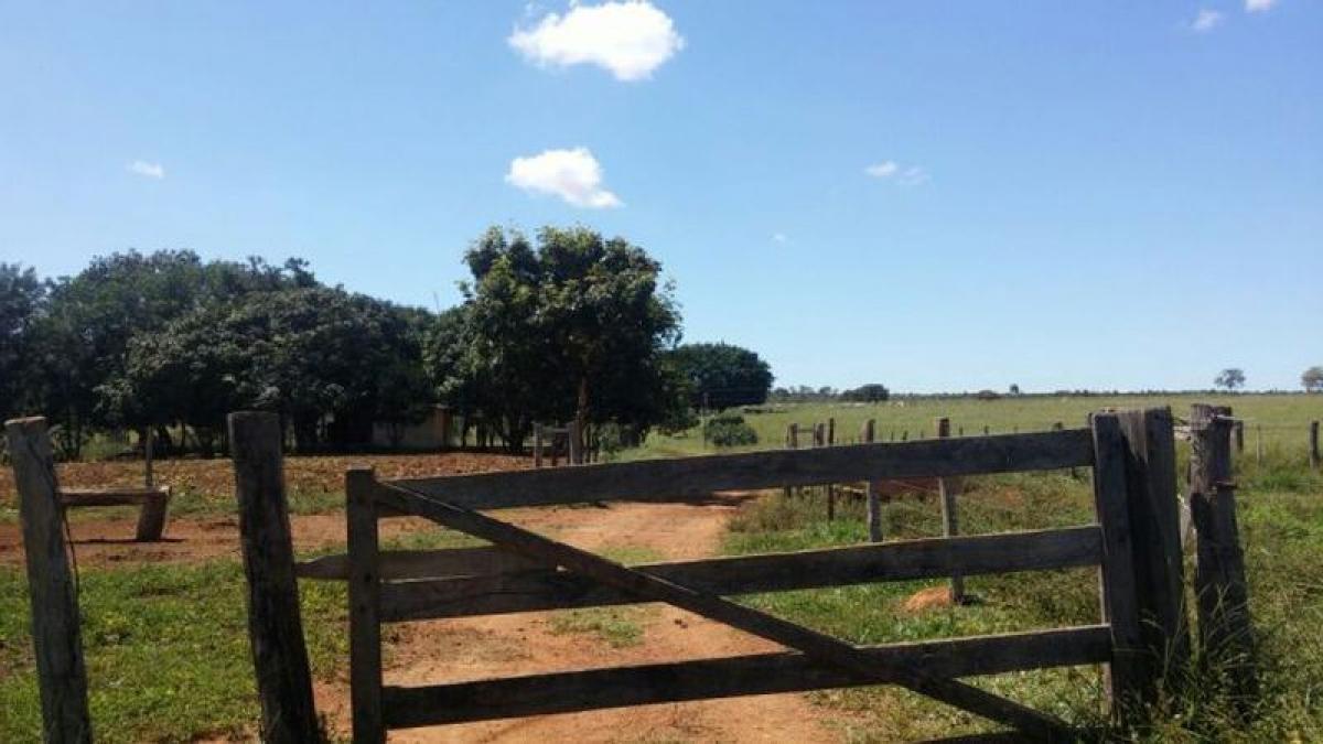Picture of Farm For Sale in Goias, Goias, Brazil