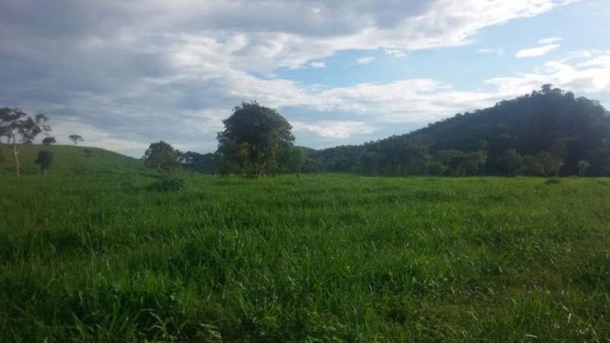 Picture of Farm For Sale in Tocantins, Tocantins, Brazil