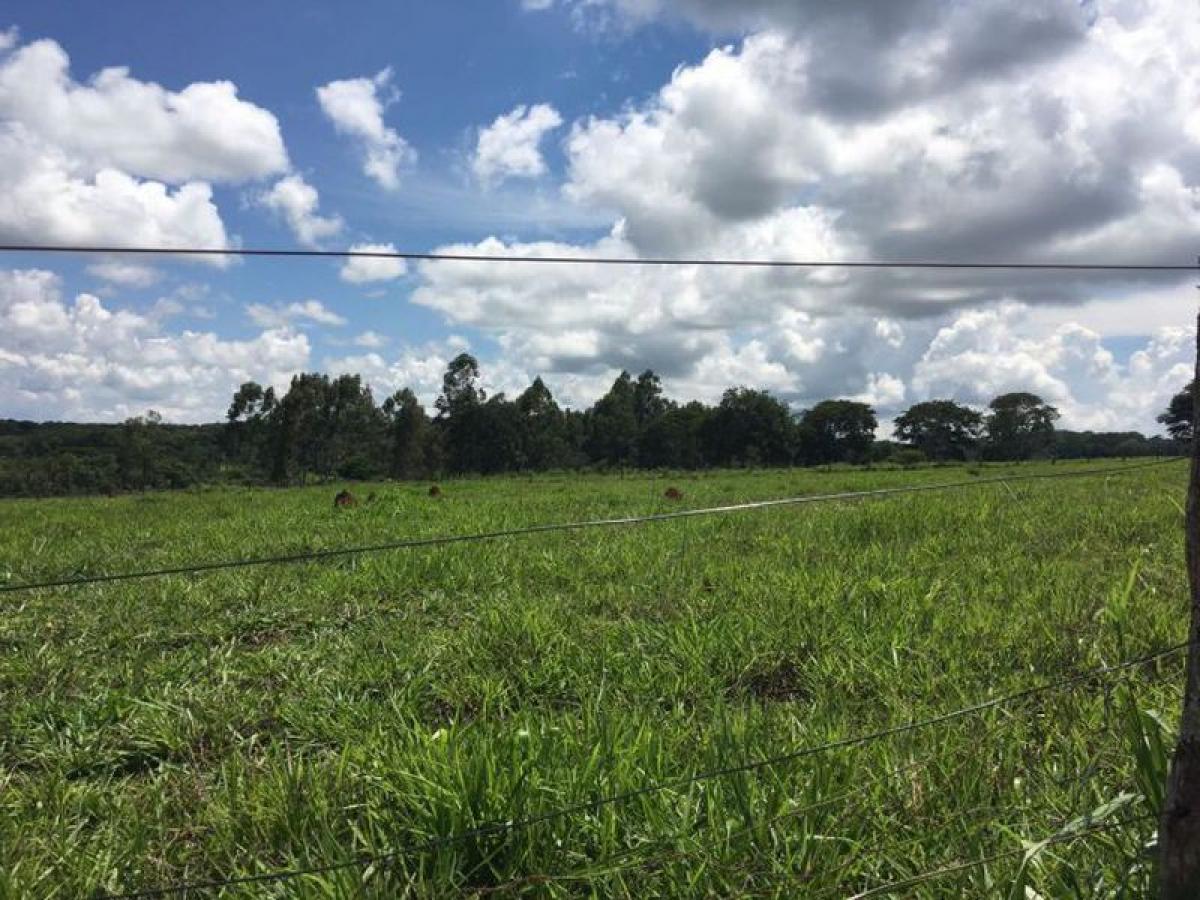 Picture of Farm For Sale in Goias, Goias, Brazil
