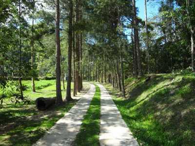 Farm For Sale in Rio De Janeiro, Brazil