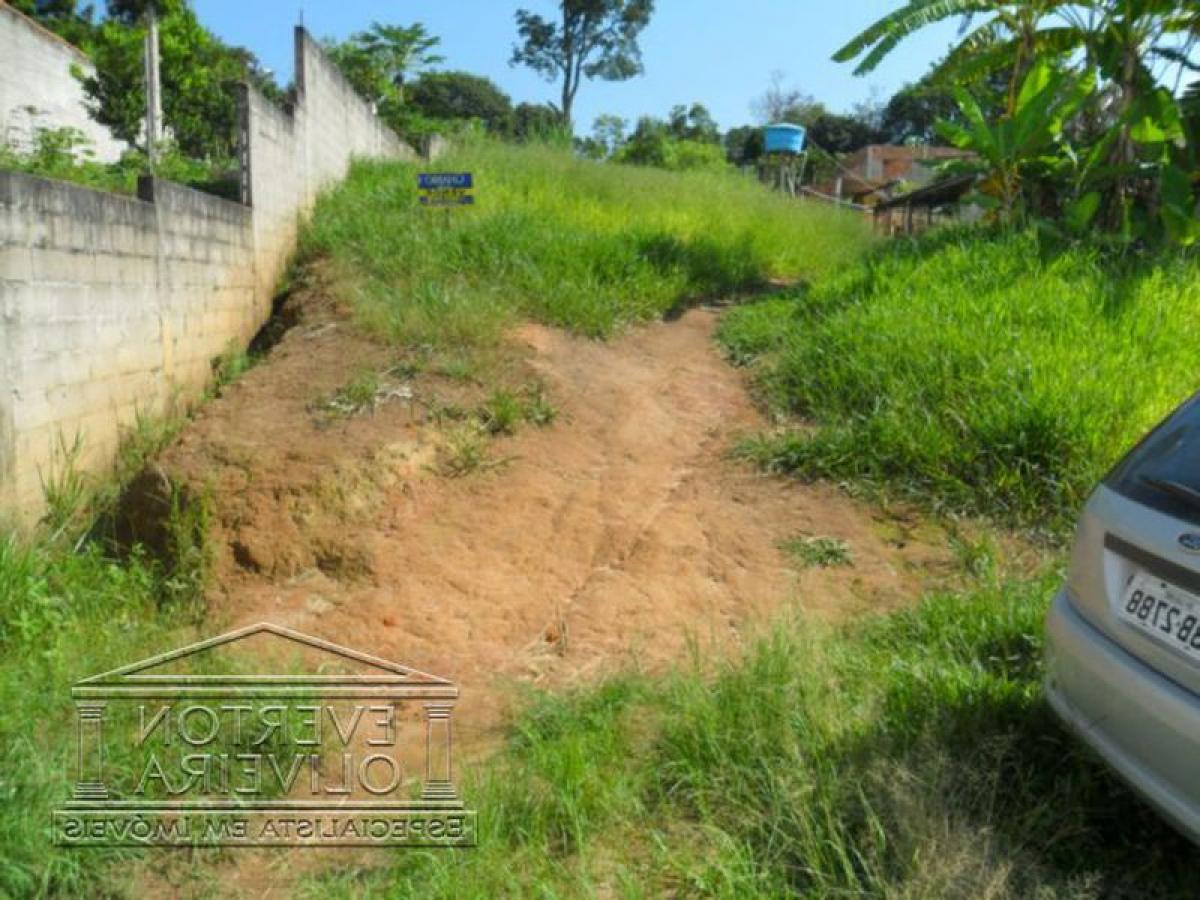 Picture of Farm For Sale in Jacarei, Sao Paulo, Brazil