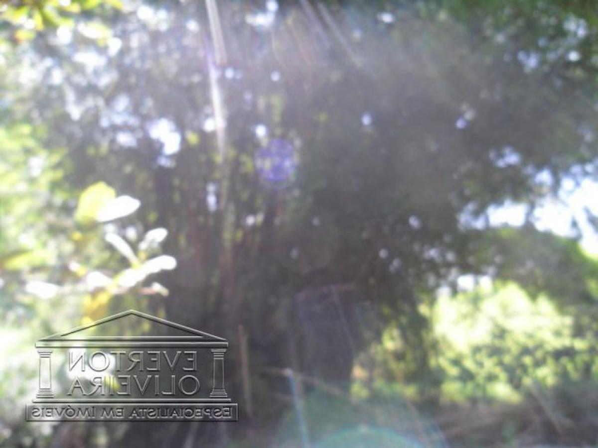 Picture of Farm For Sale in Jacarei, Sao Paulo, Brazil