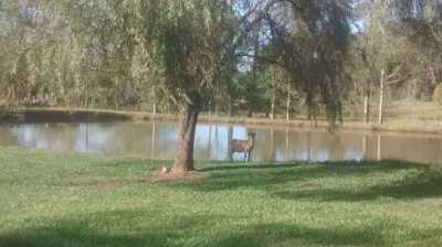 Farm For Sale in Viamao, Brazil