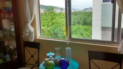 Apartment For Sale in Florianopolis, Brazil