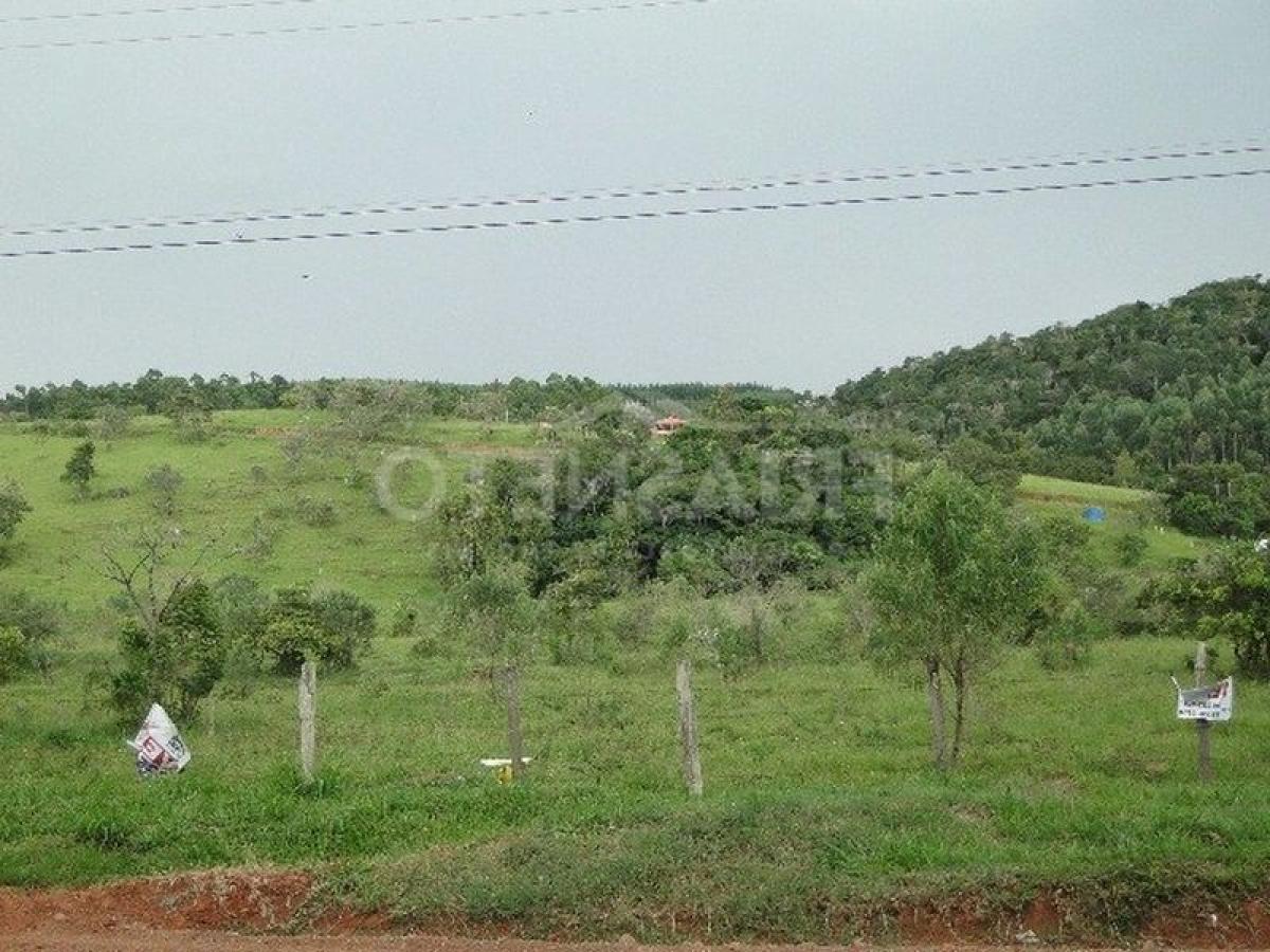 Picture of Farm For Sale in Campinas, Sao Paulo, Brazil