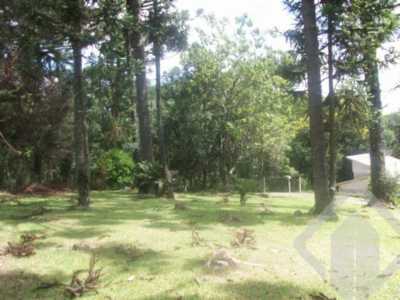 Residential Land For Sale in Canela, Brazil