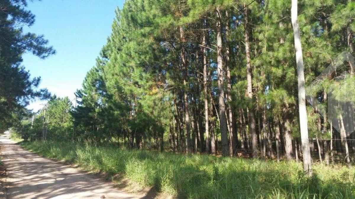 Picture of Residential Land For Sale in Porto Alegre, Rio Grande do Sul, Brazil