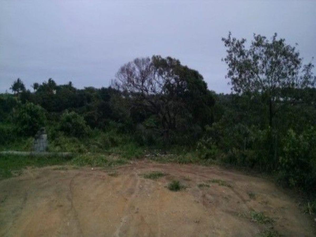 Picture of Residential Land For Sale in Espirito Santo, Espirito Santo, Brazil