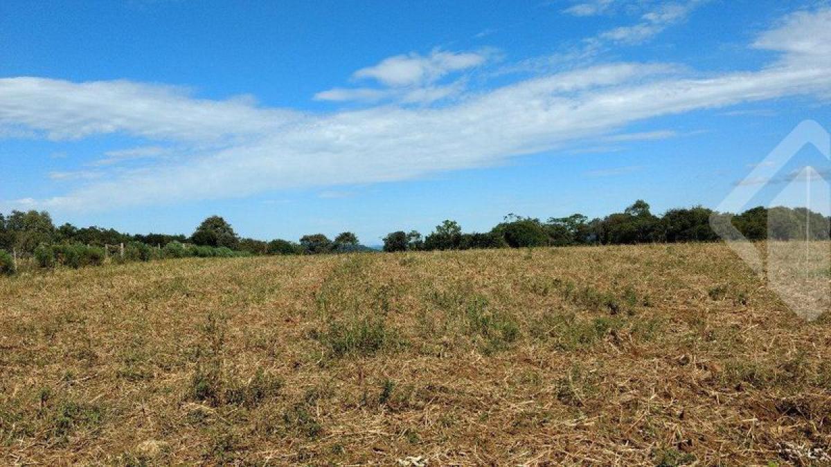 Picture of Residential Land For Sale in Canela, Rio Grande do Sul, Brazil