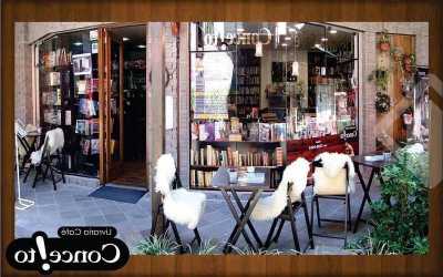 Commercial Building For Sale in