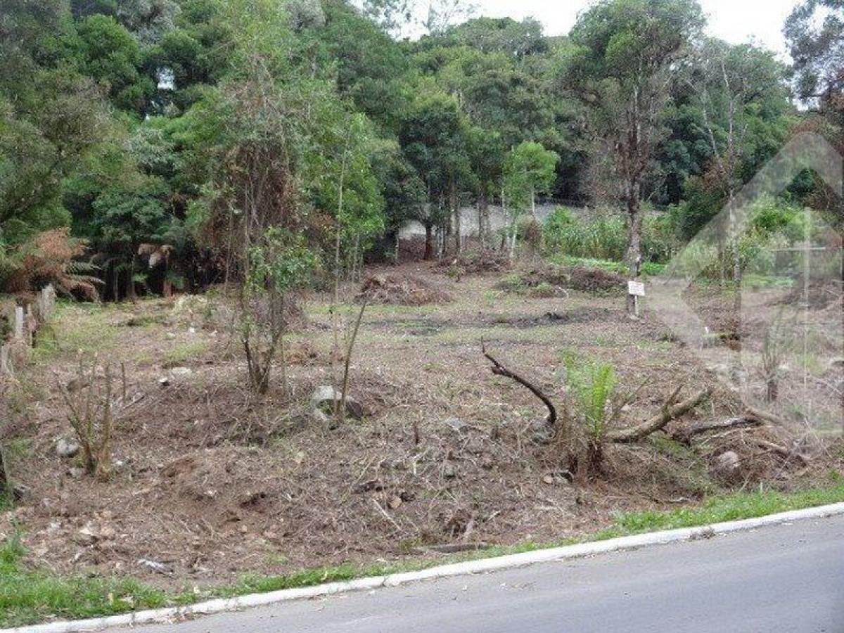 Picture of Residential Land For Sale in Rio Grande Do Sul, Rio Grande do Sul, Brazil