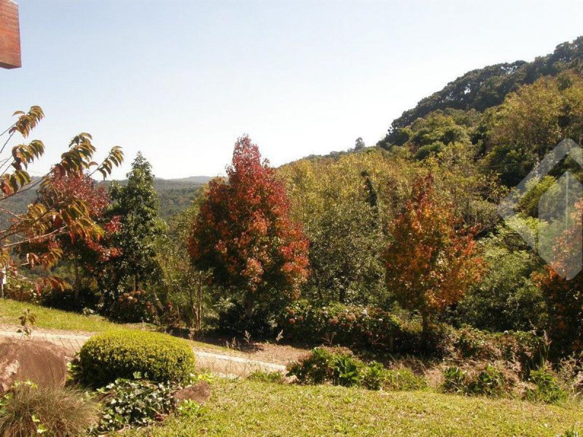 Picture of Farm For Sale in Nova Petropolis, Rio Grande do Sul, Brazil