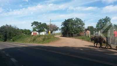 Farm For Sale in Santo AntÃ´nio Da Patrulha, Brazil