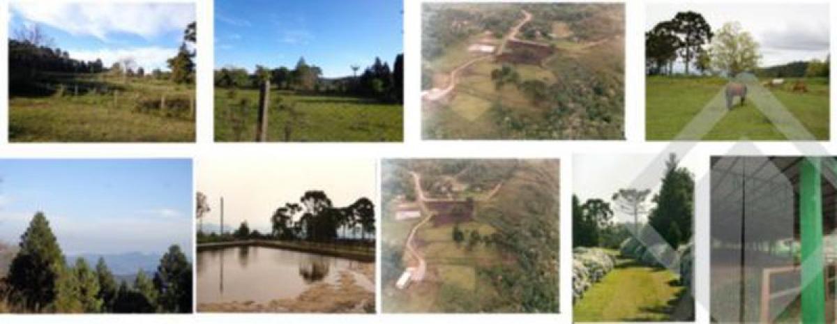 Picture of Residential Land For Sale in Canela, Rio Grande do Sul, Brazil